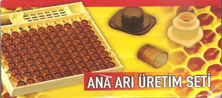 Ana Arı Üretim Seti — görsel 2